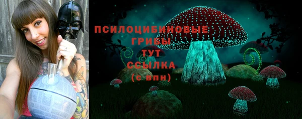 PSILOCYBIN Армянск