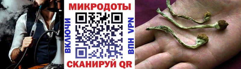 OMG ссылка  Алапаевск  Псилоцибиновые грибы мицелий 